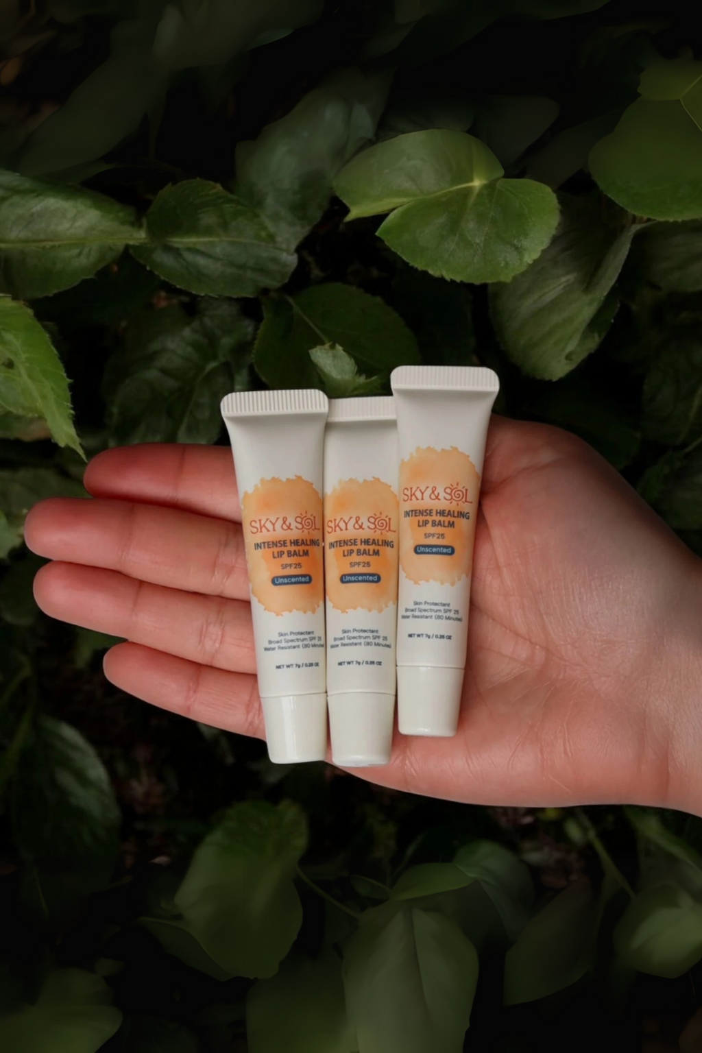 Intense Healing Lip Jelly SPF 25 (Pack of 3)